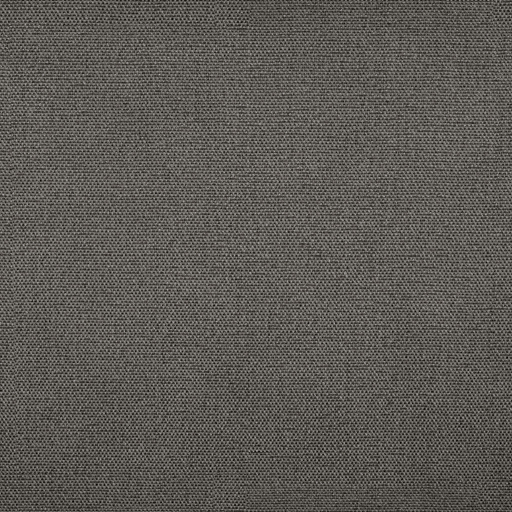 raffaello-charcoal